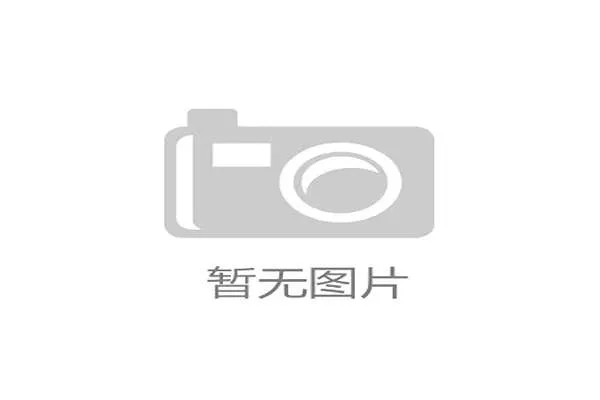 世界杯A组南非出线希望全面解读