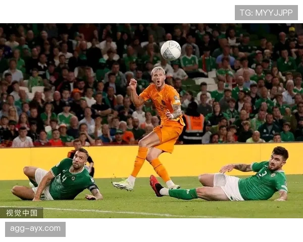 爱尔兰队欧预赛附加赛强势晋级，成为欧洲足坛新生力量