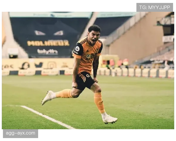 狼队反击速度持续提升，攻防转换效率成赛季亮点