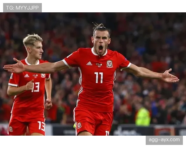 芬兰国家队欧预赛黑马