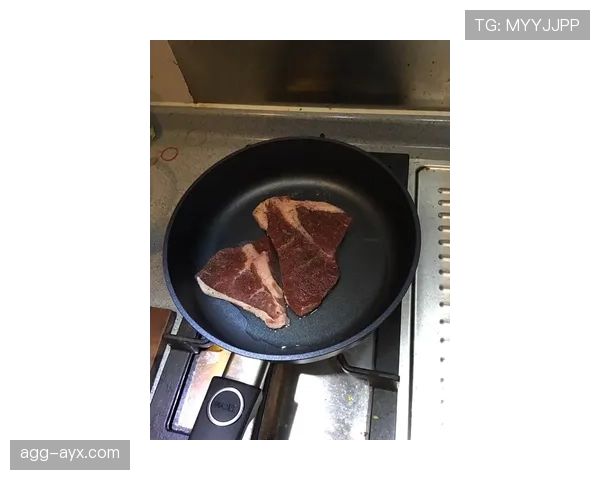 皮斯托瑞斯家的冰箱里，连牛排都按秒表解冻